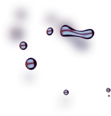 Stervarex App - Unveiling the Inspiring Force behind Stervarex App